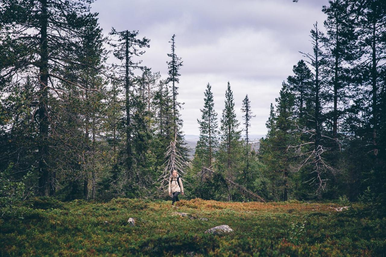 Lapland Hotels Riekonlinna Saariselka Luaran gambar