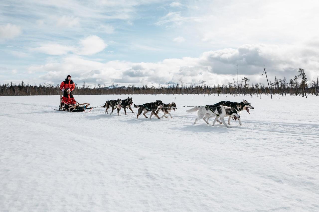 Lapland Hotels Riekonlinna Saariselka Luaran gambar